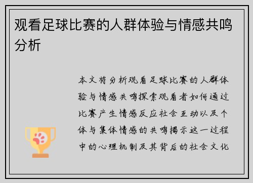 观看足球比赛的人群体验与情感共鸣分析