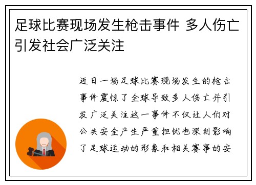 足球比赛现场发生枪击事件 多人伤亡引发社会广泛关注