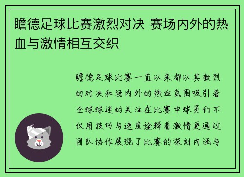 瞻德足球比赛激烈对决 赛场内外的热血与激情相互交织