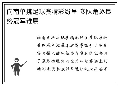 向南单挑足球赛精彩纷呈 多队角逐最终冠军谁属