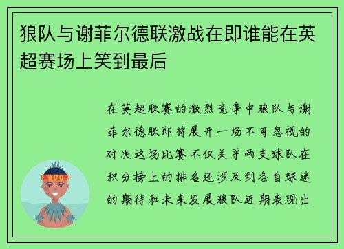 狼队与谢菲尔德联激战在即谁能在英超赛场上笑到最后