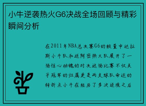 小牛逆袭热火G6决战全场回顾与精彩瞬间分析