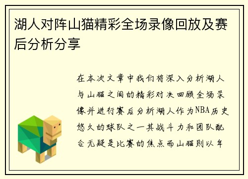 湖人对阵山猫精彩全场录像回放及赛后分析分享