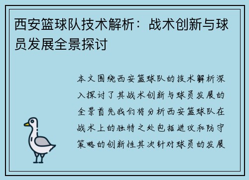西安篮球队技术解析：战术创新与球员发展全景探讨