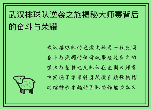 武汉排球队逆袭之旅揭秘大师赛背后的奋斗与荣耀